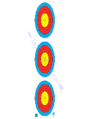 Tarcza Papierowa WA Compound JVD do łuku bloczkowego 3x20cm Pion HALA 18m wzmacniana
